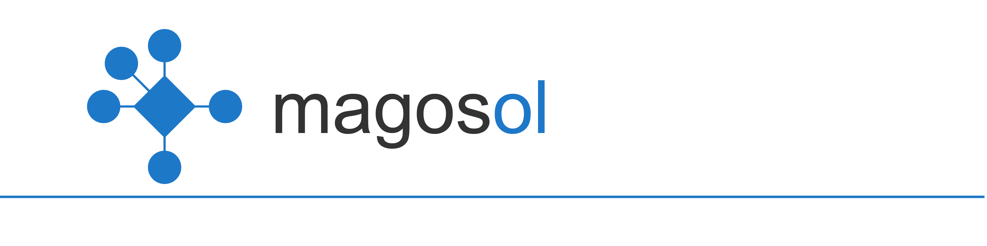 MAGOSOL - The secret sauce for your AI and SaaS projects